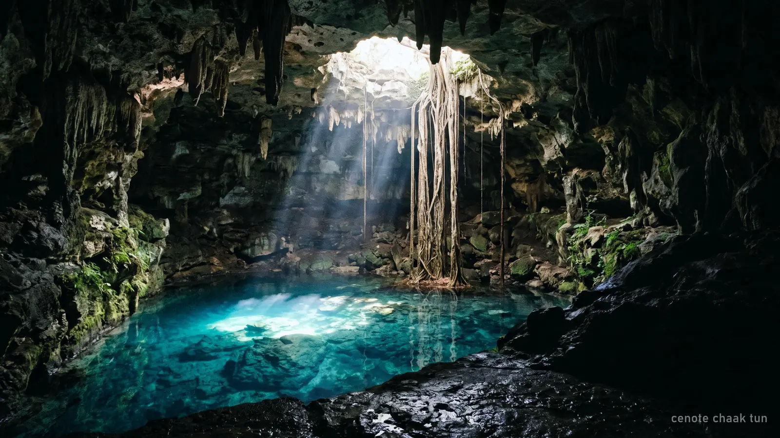 A cave cenote chamber with a shaft of sunlight and tree roots reaching the water